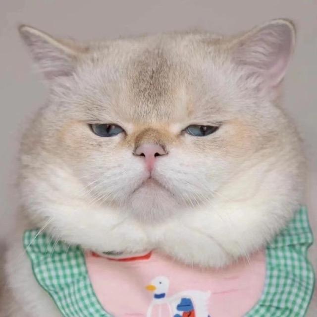 梦子.