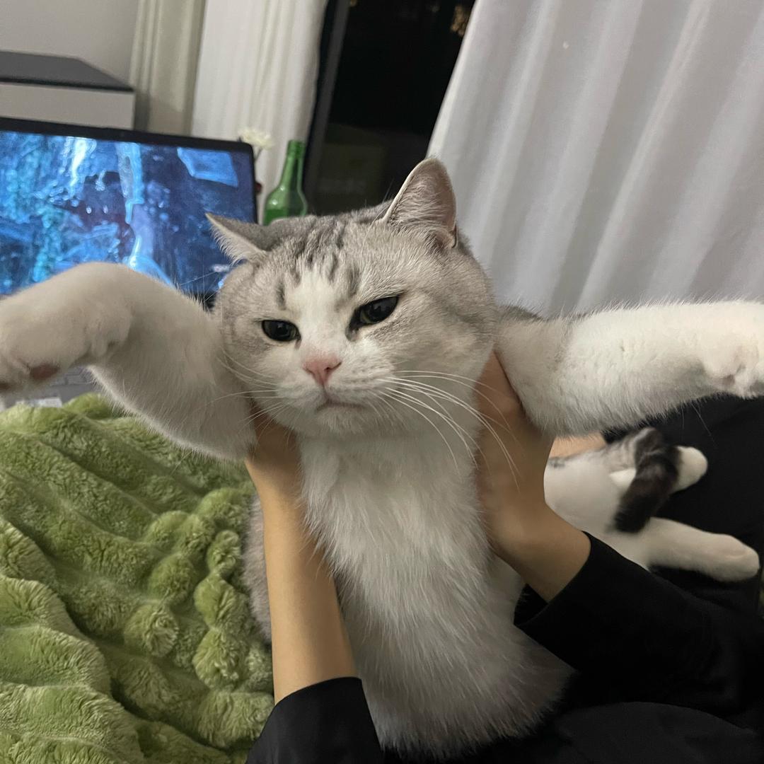 叶耶