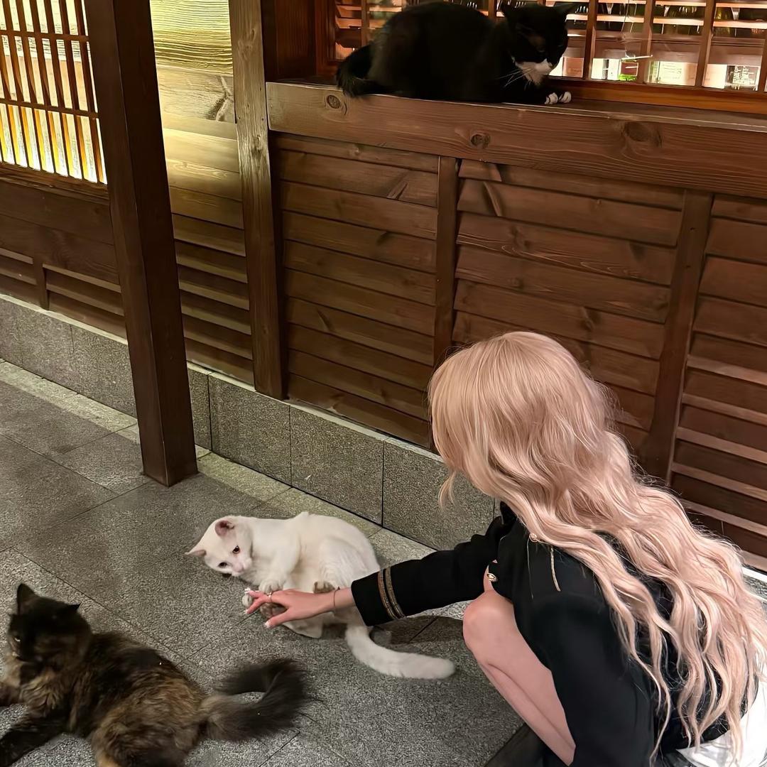贝才