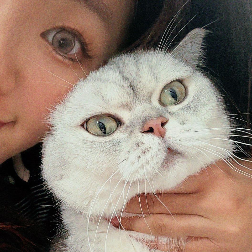 是新丸子呀💕📸