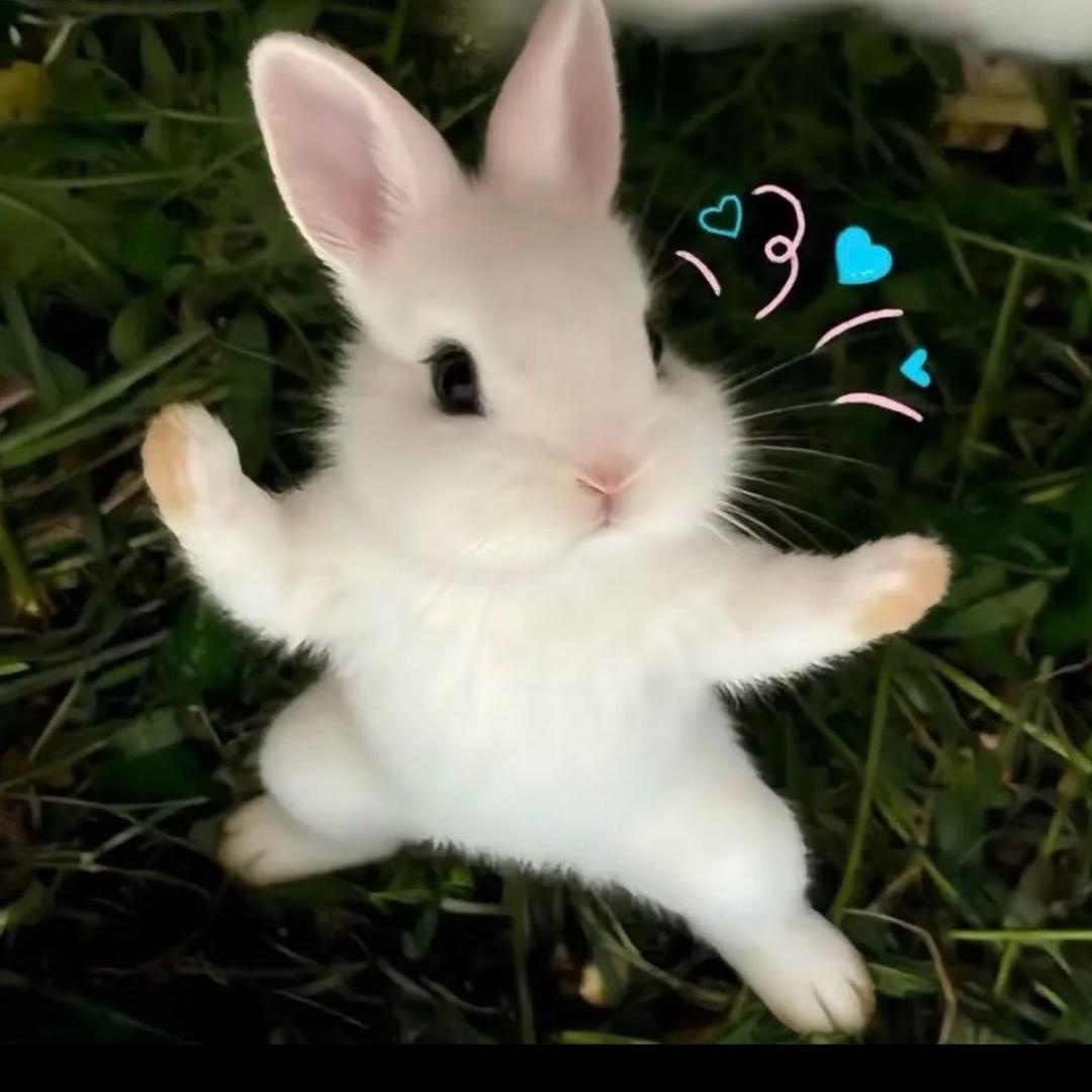 Niuu9头像