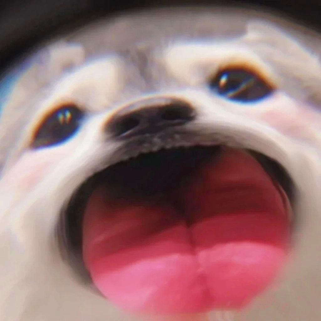 X Chen