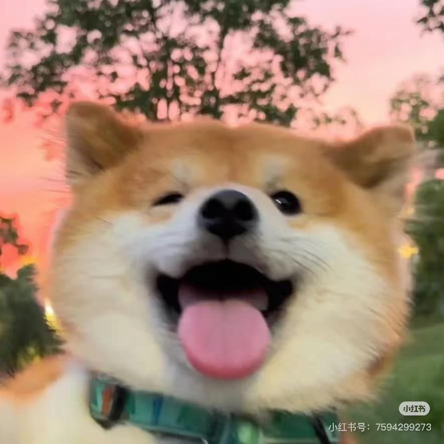迷