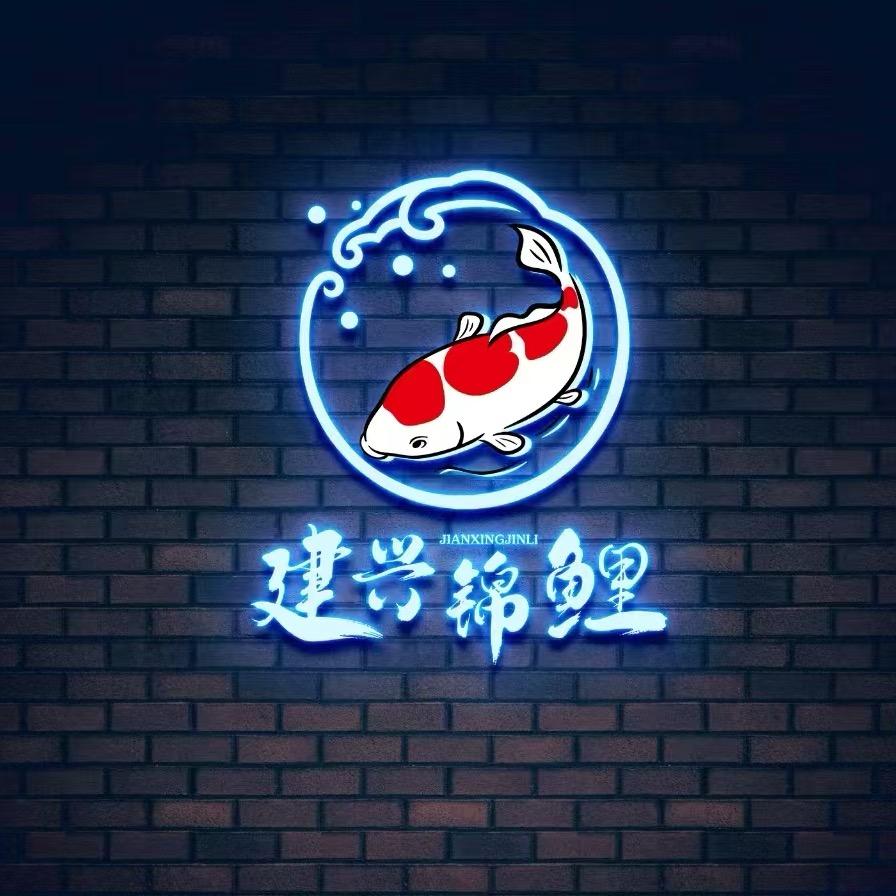 建兴锦鲤(只做进口锦鲤）