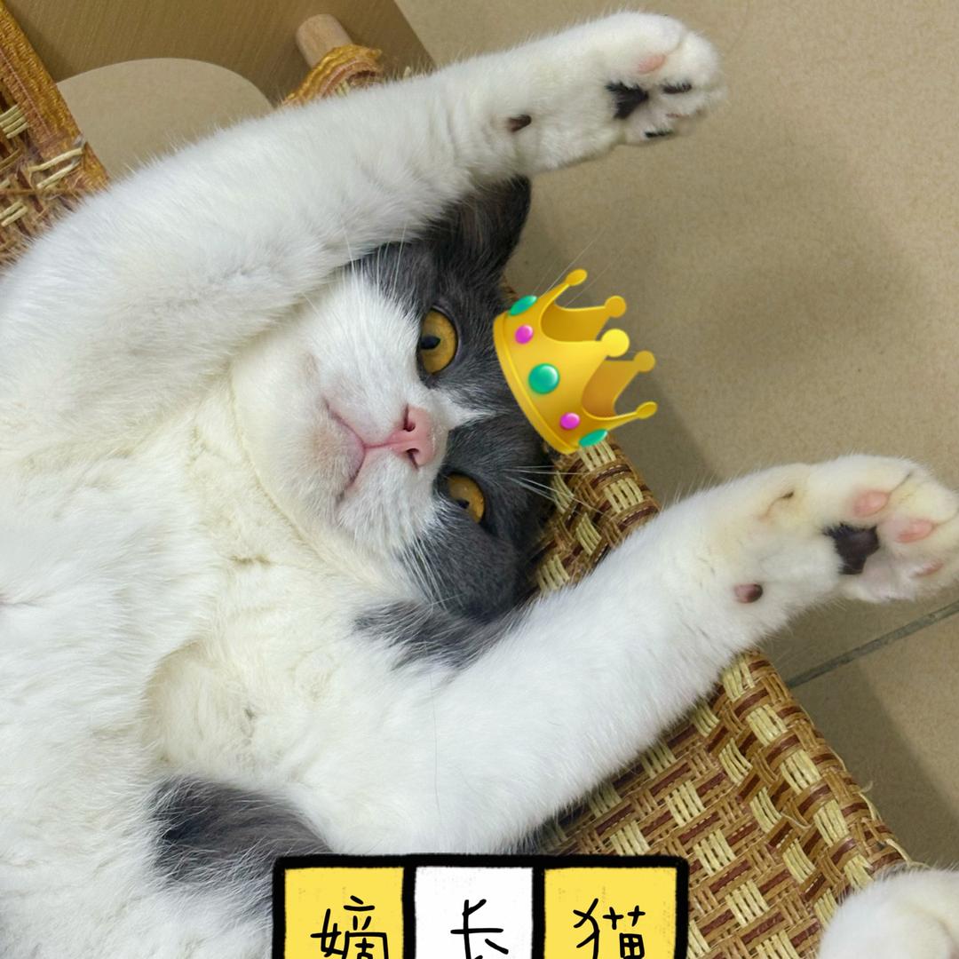 哈哈哈哈哈哈哈哈哈哈
