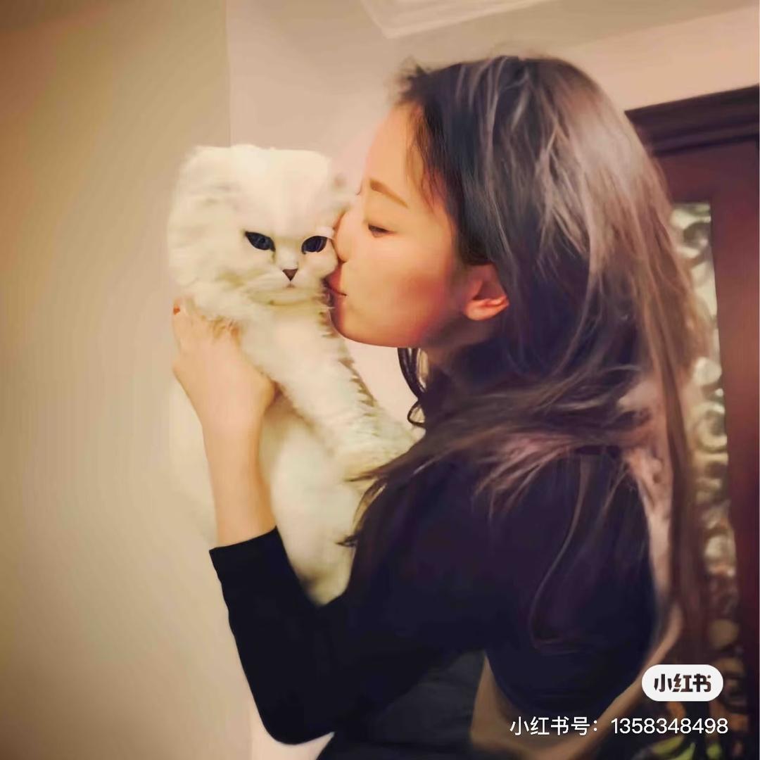 飞旋马桶盖