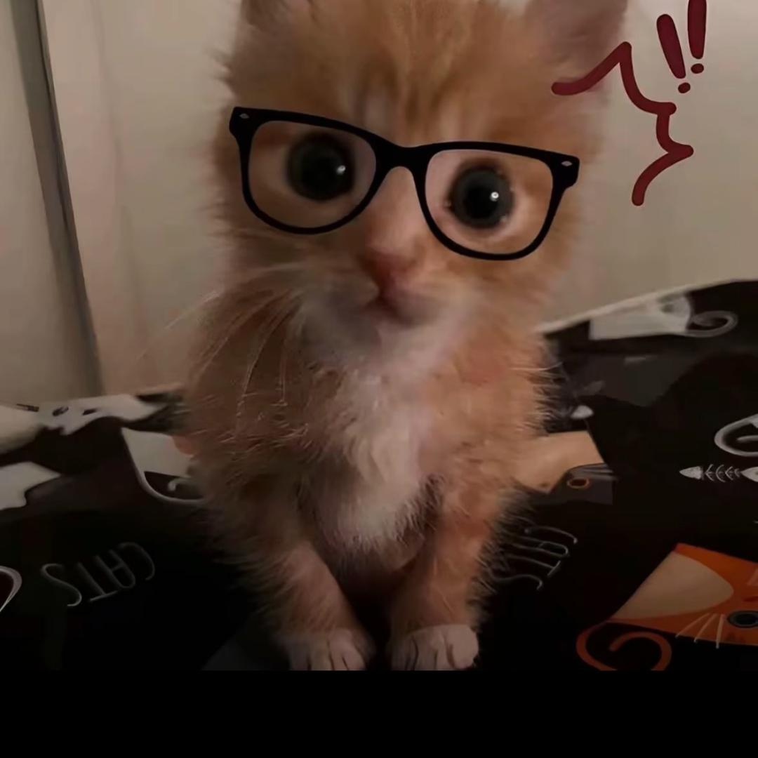 可可真的很烦