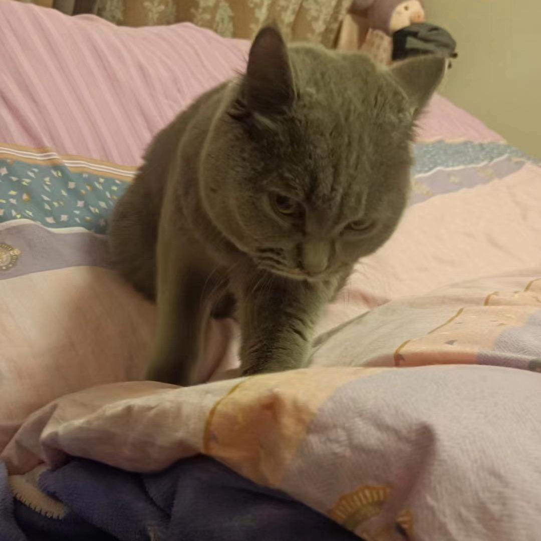 嗨
