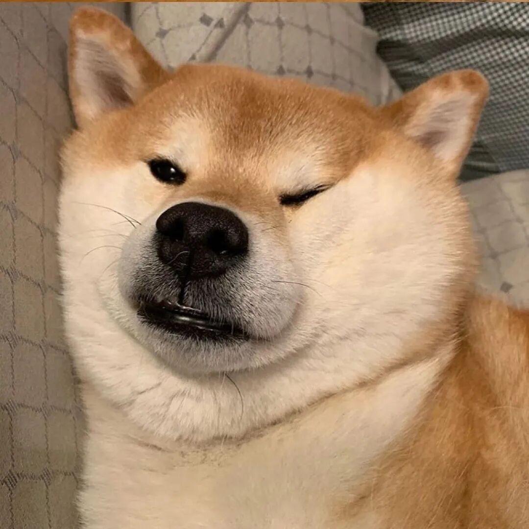1101