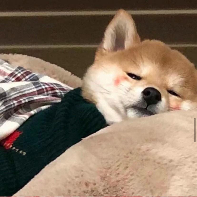 悲伤小锅巴