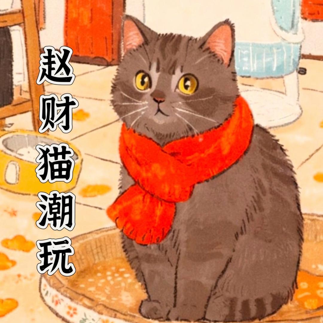 赵财猫潮玩