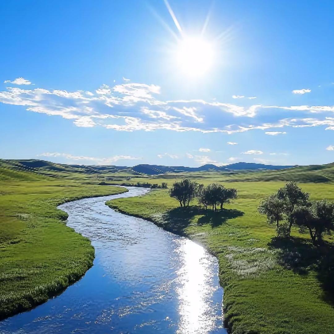 森林🌳🌳 的浆果篮子