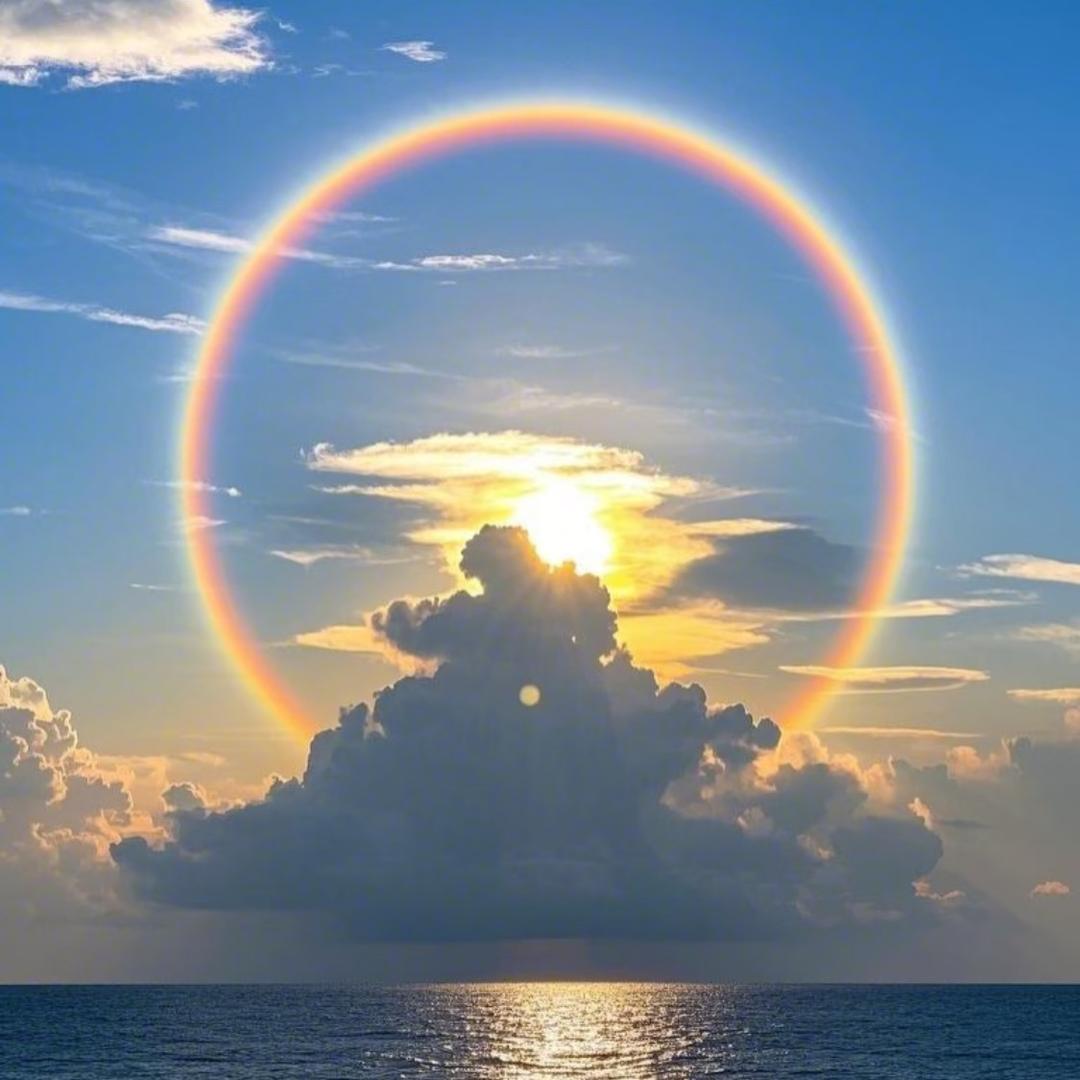 老高百货批发官方号