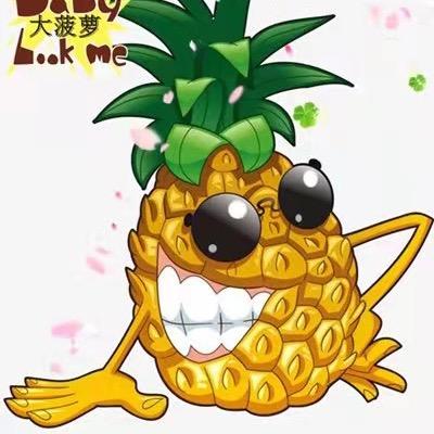 东北大菠萝（田中商事）