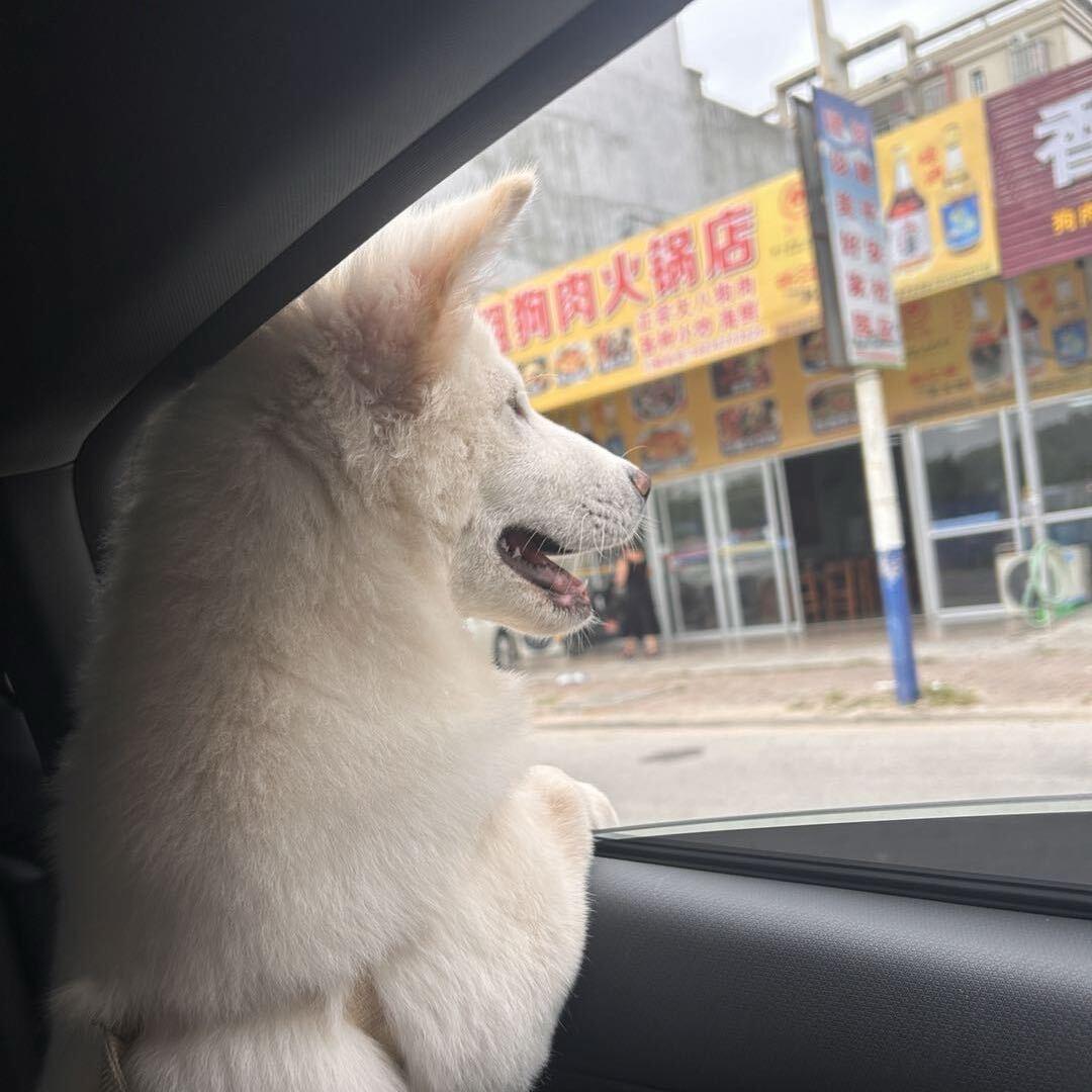 好玩的嘞