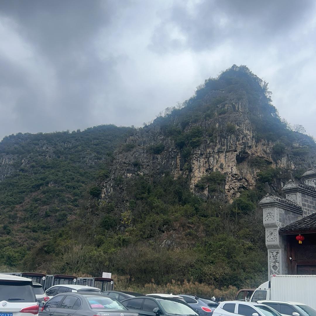 嗯哼555