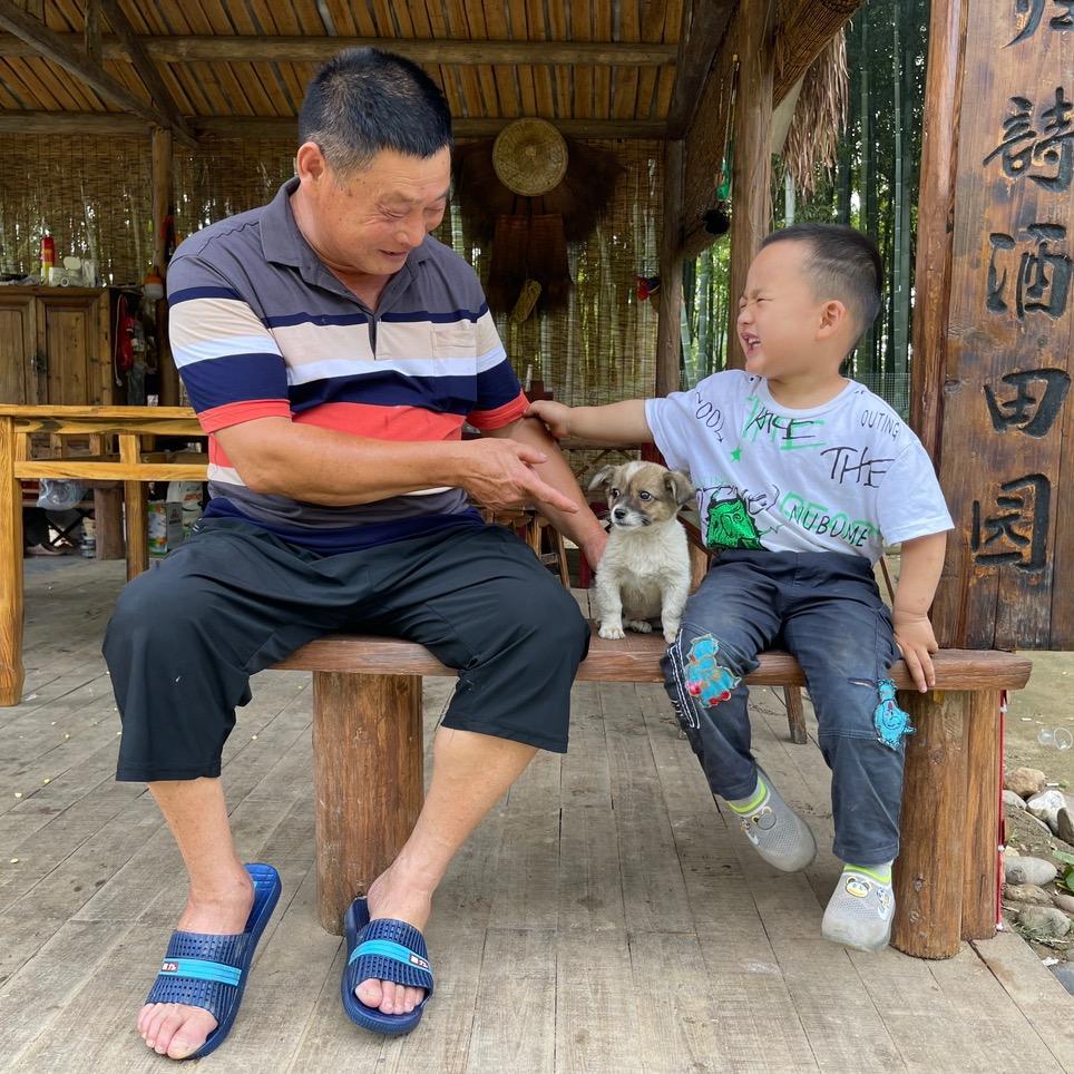 董爷懂了