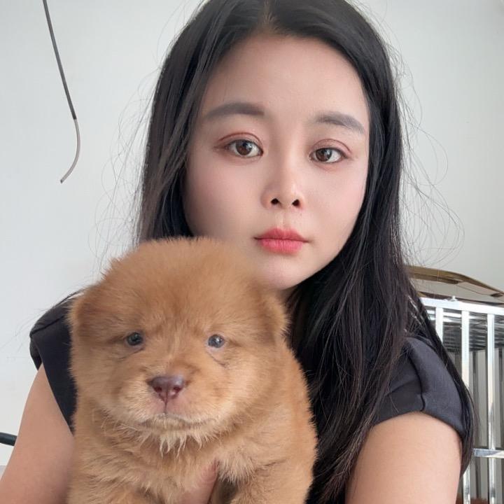 @百园嘴犬舍赵老板