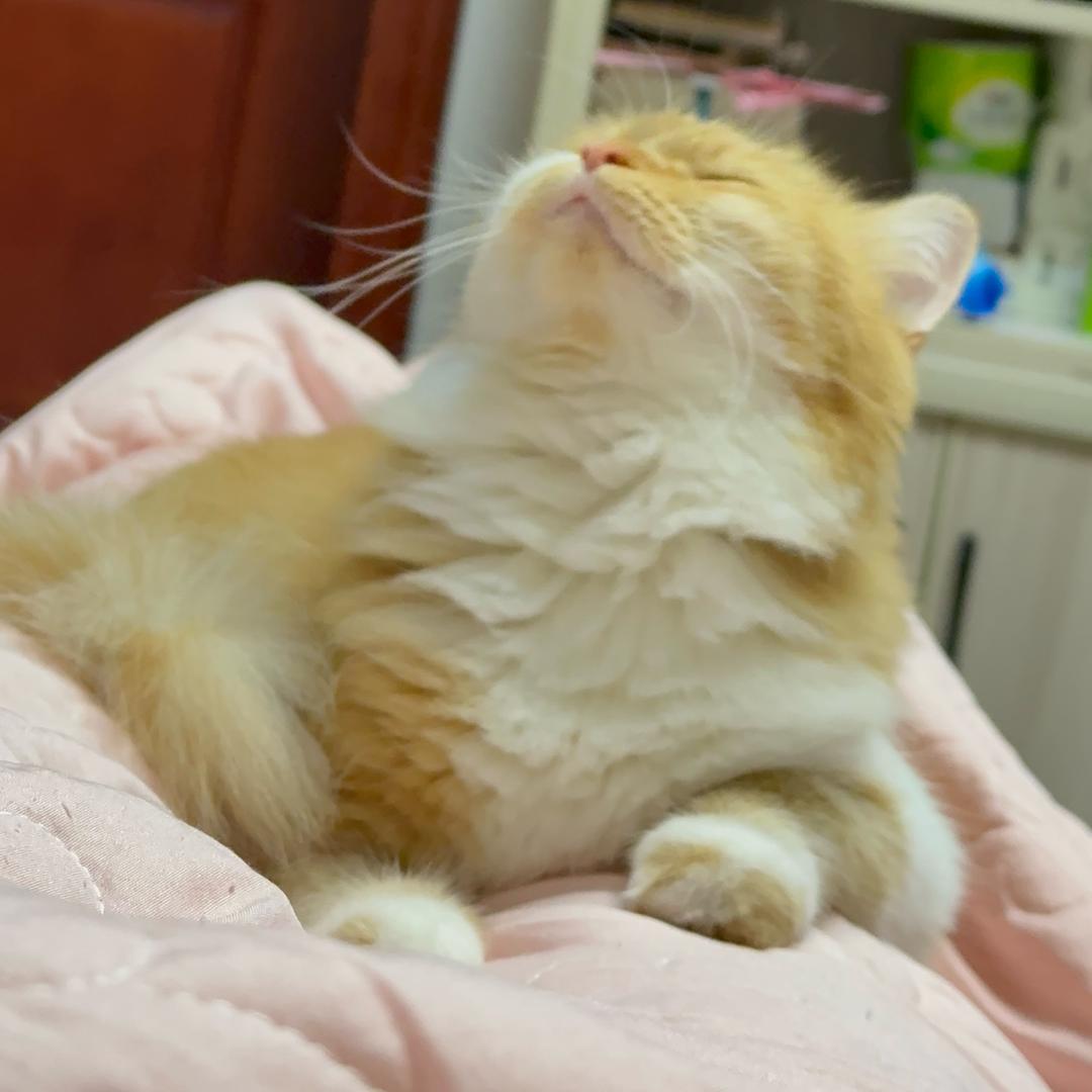 馨馨 🌾