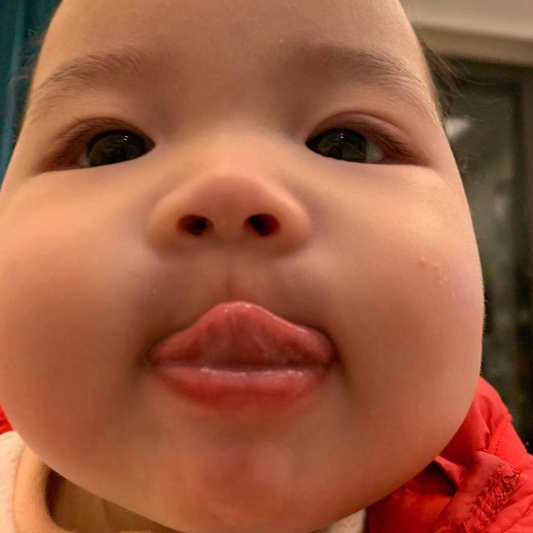 卡皮巴拉拉拉拉