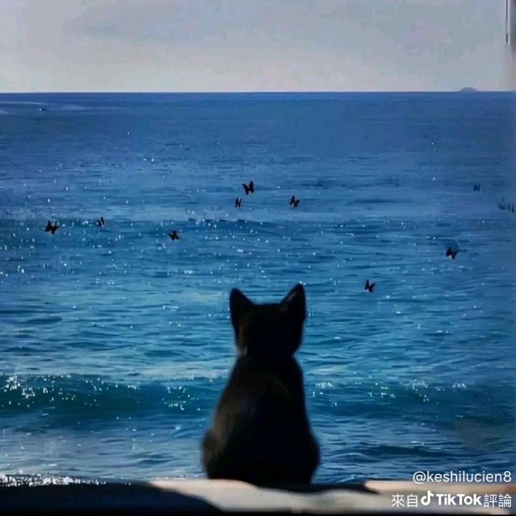 阿克苏日落