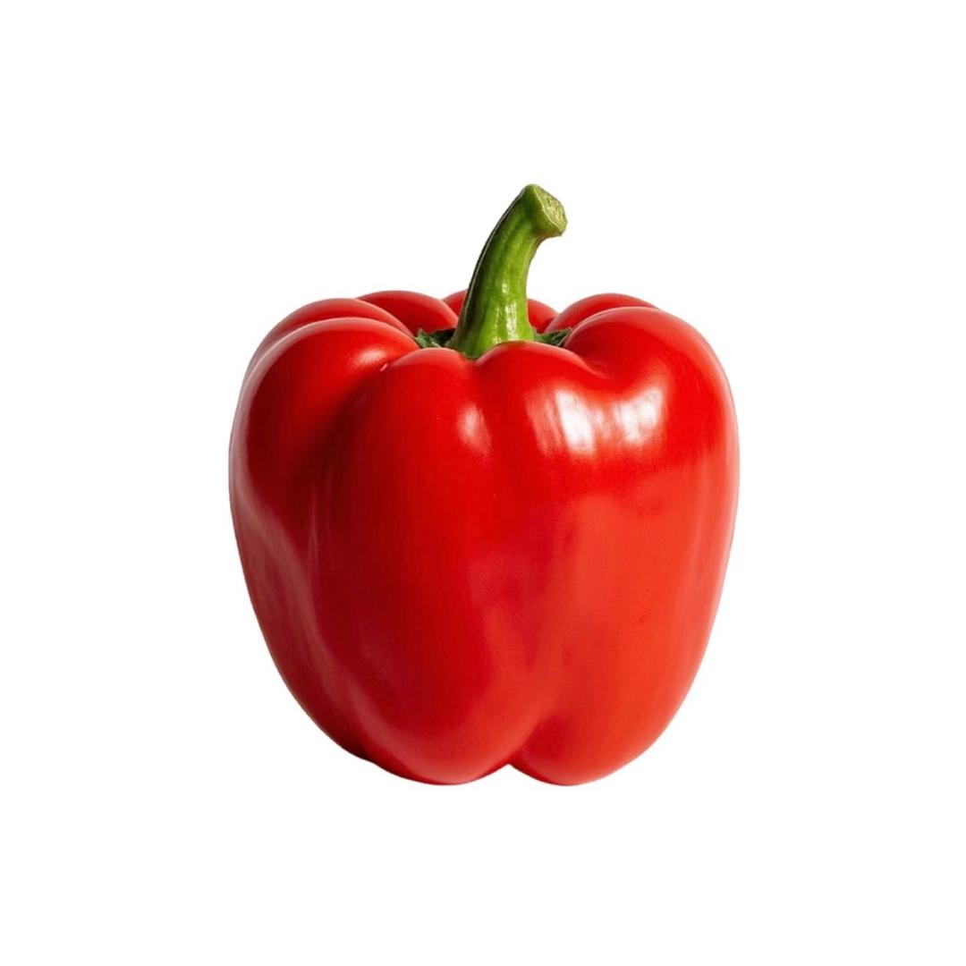 极品川菜