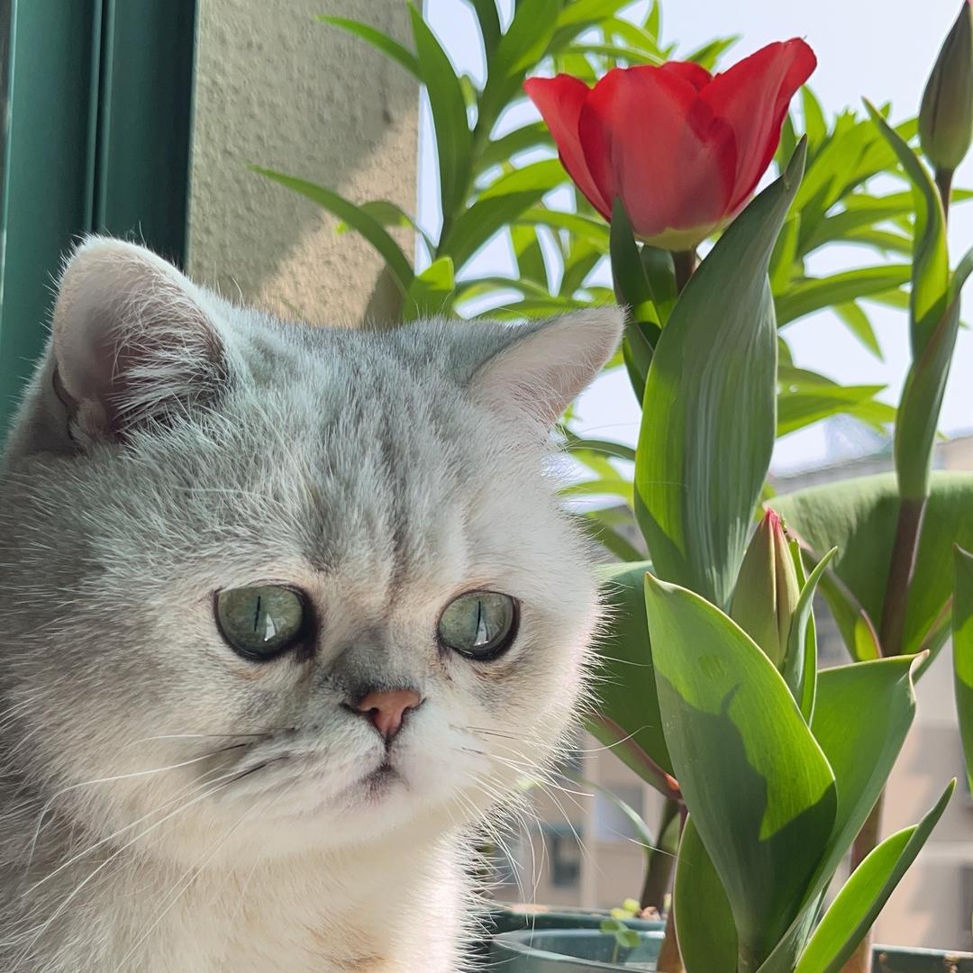 简 乐