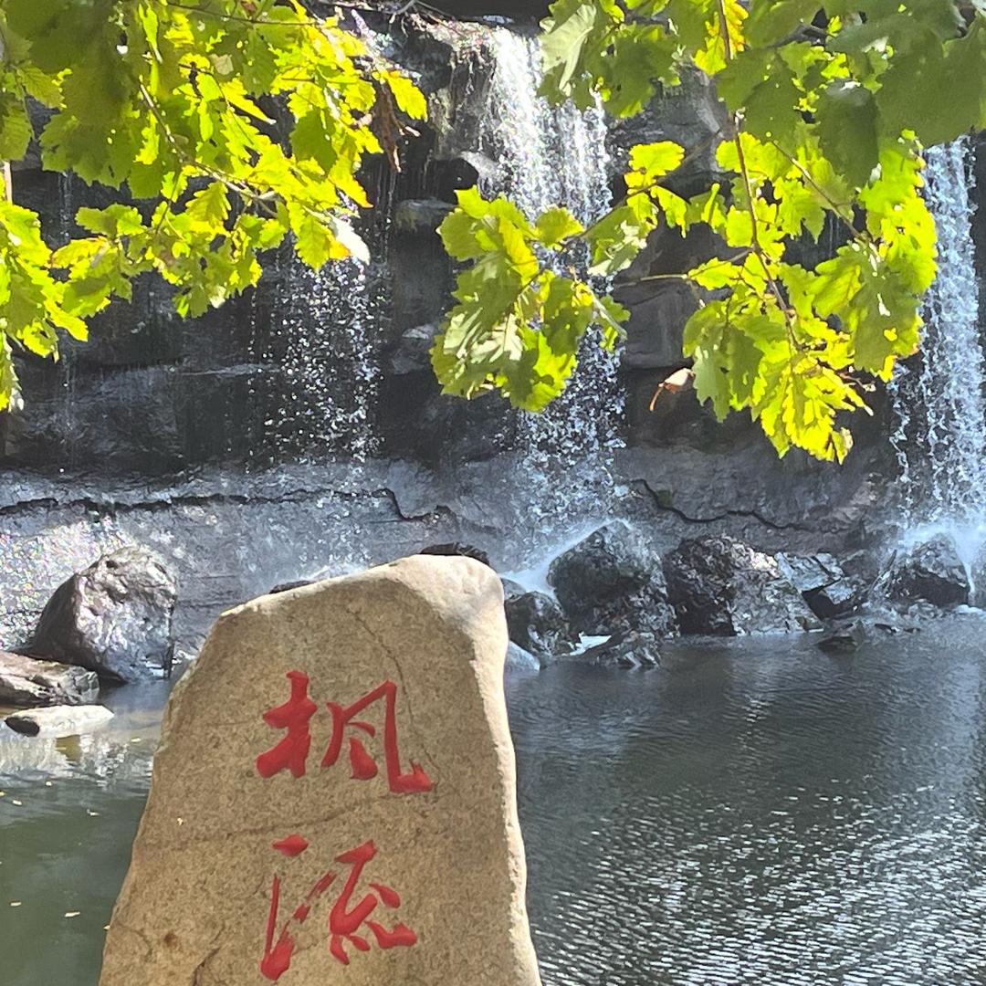 疯狂