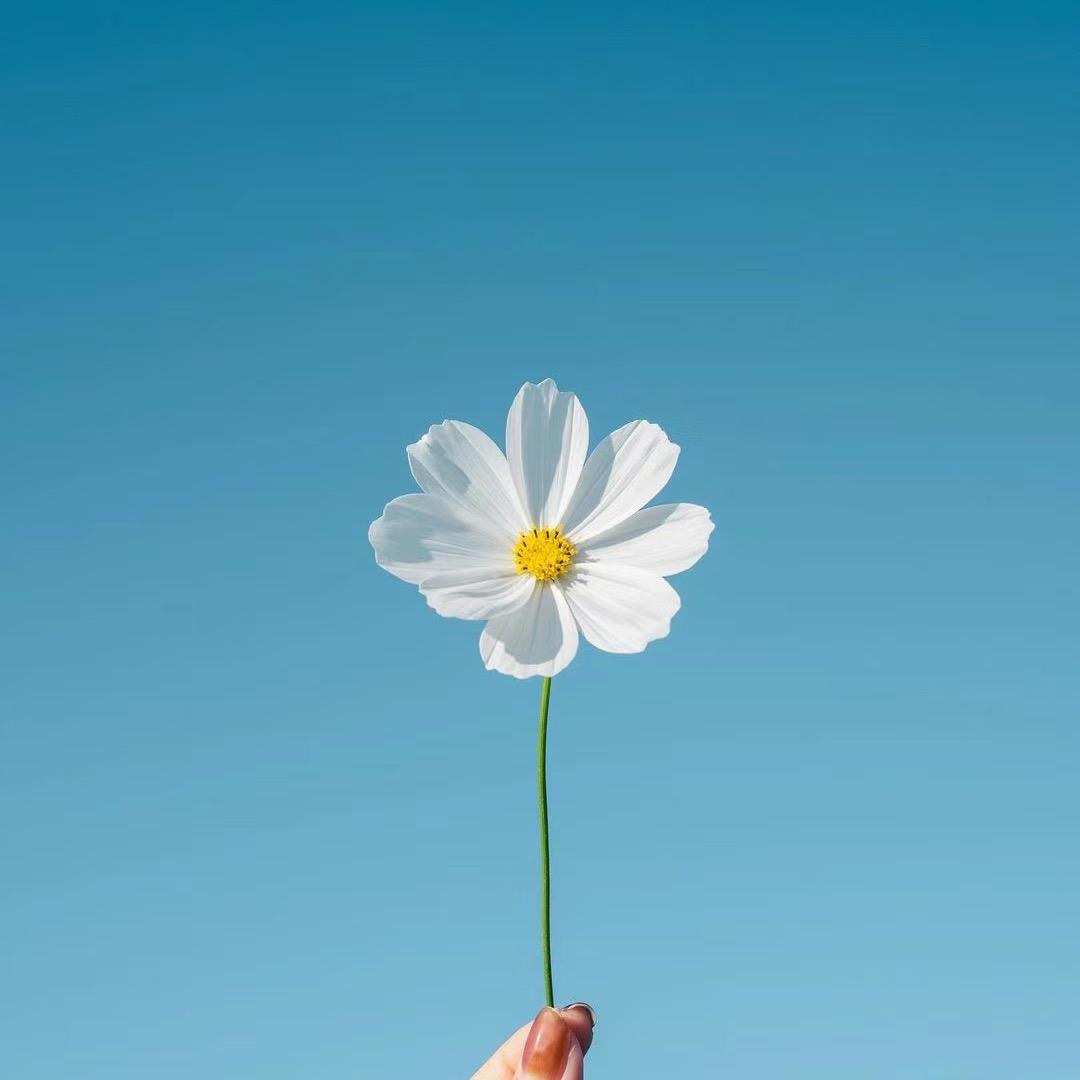 畫里画外