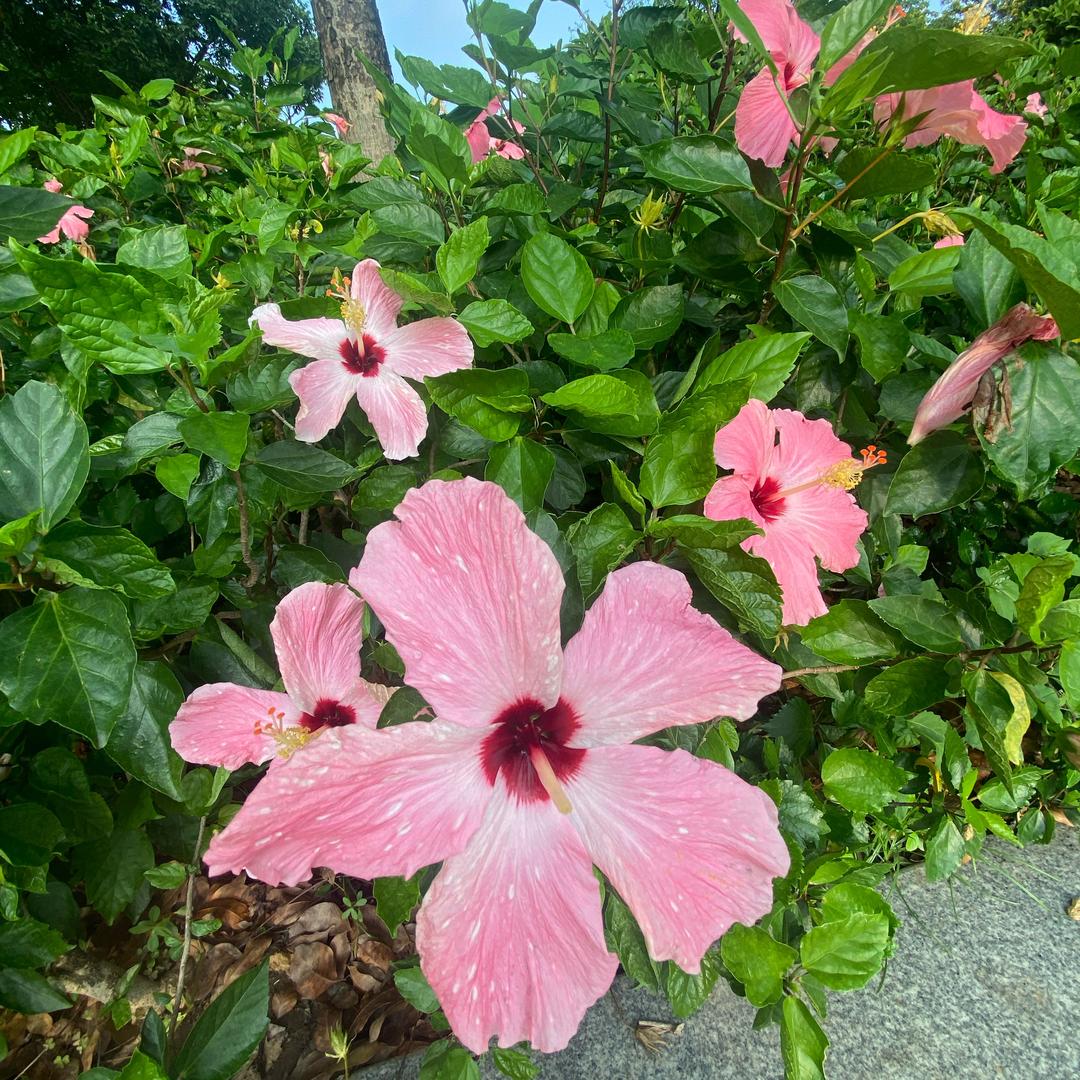 未来可期～