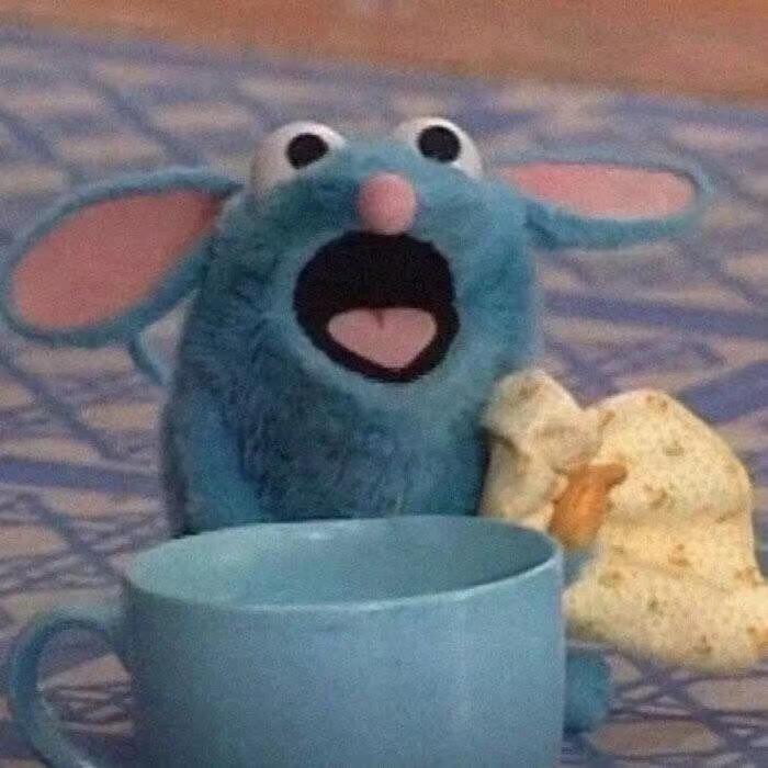 小鱼崽崽鱼🌧️