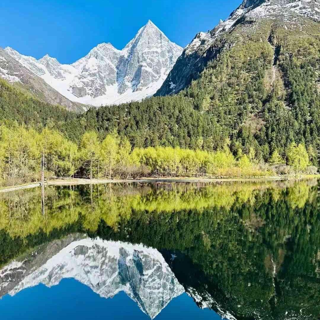 好吗好的