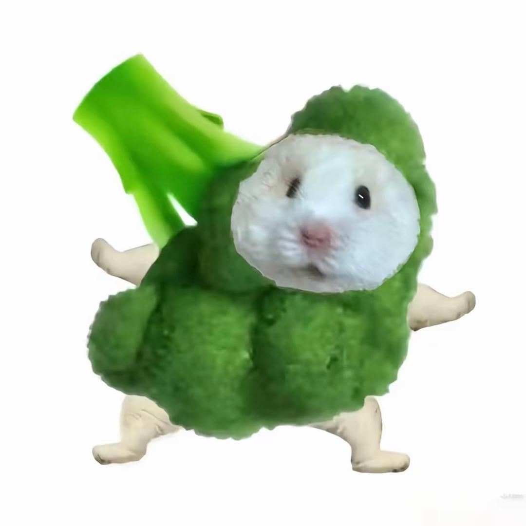 谁吃了我的香菜