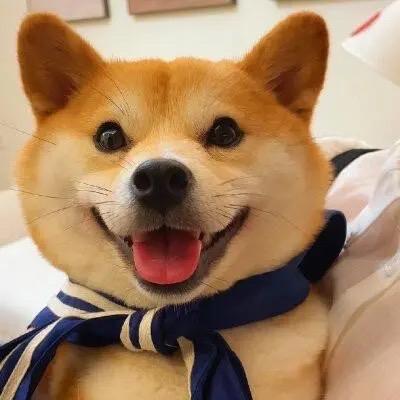 明日见未来