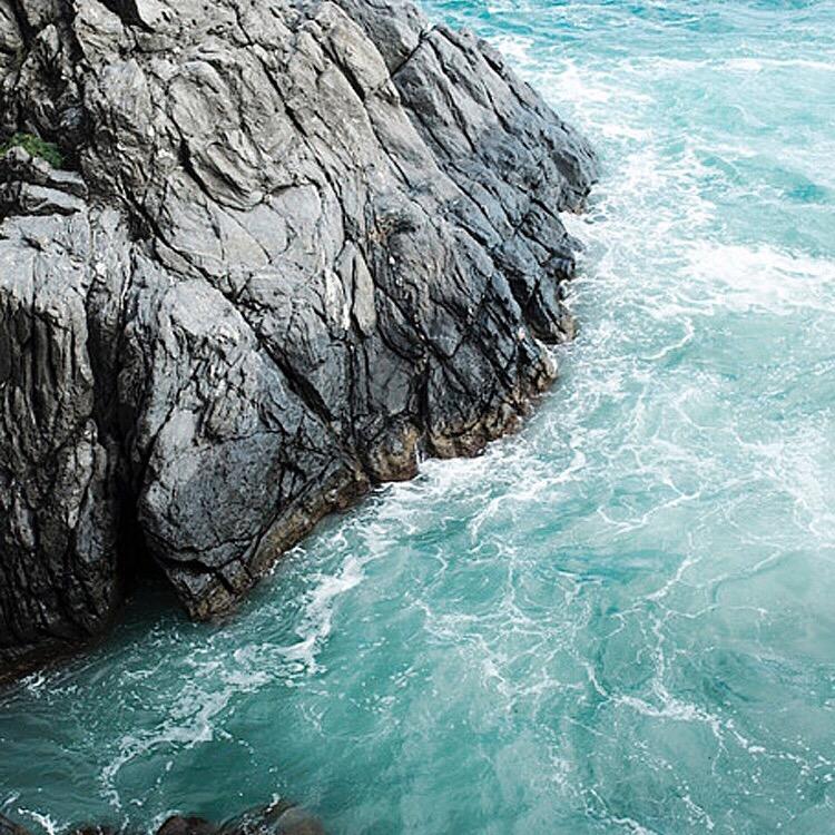 绿野仙踪：泓达物流