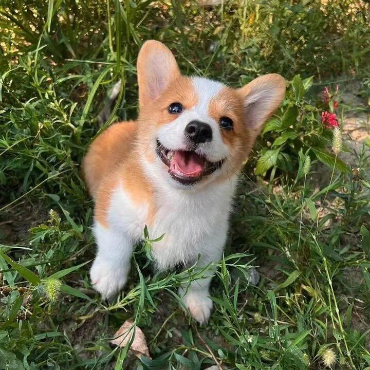 🍊🍊🍊🍊🍊🍊