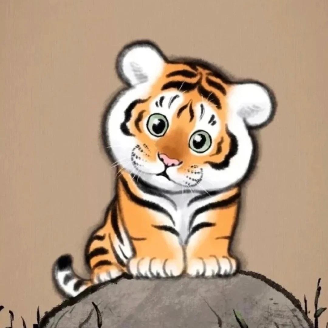 小虎子爱摄影