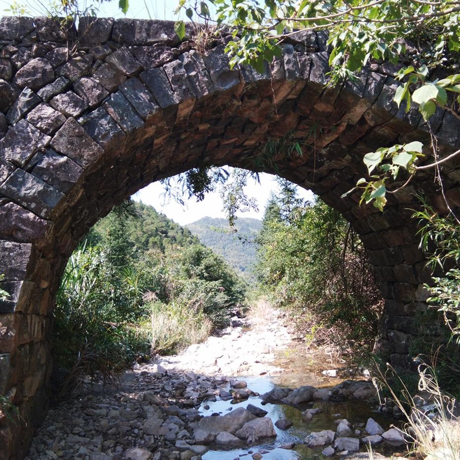 福鼎磻溪姥夫存茶