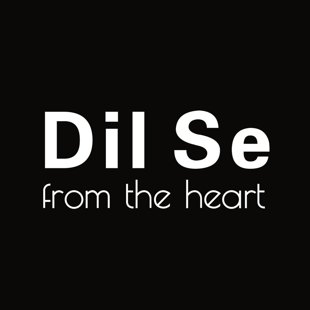 DilSe德丽瑟美妆品牌