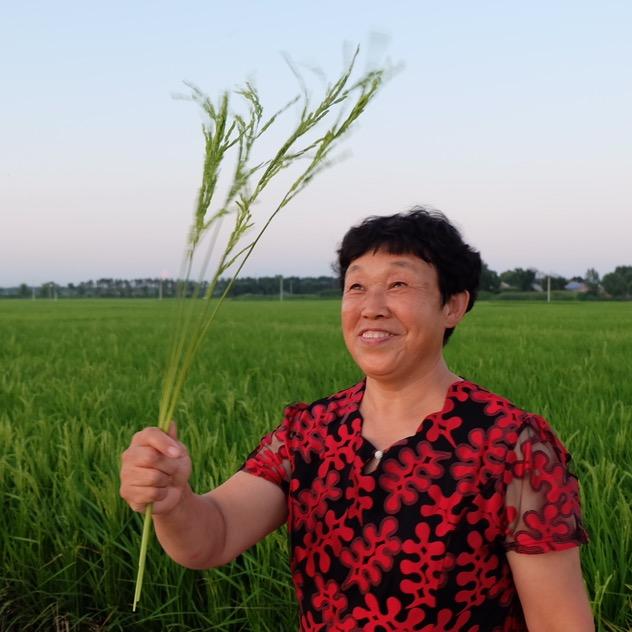 你东北玉珍大姨