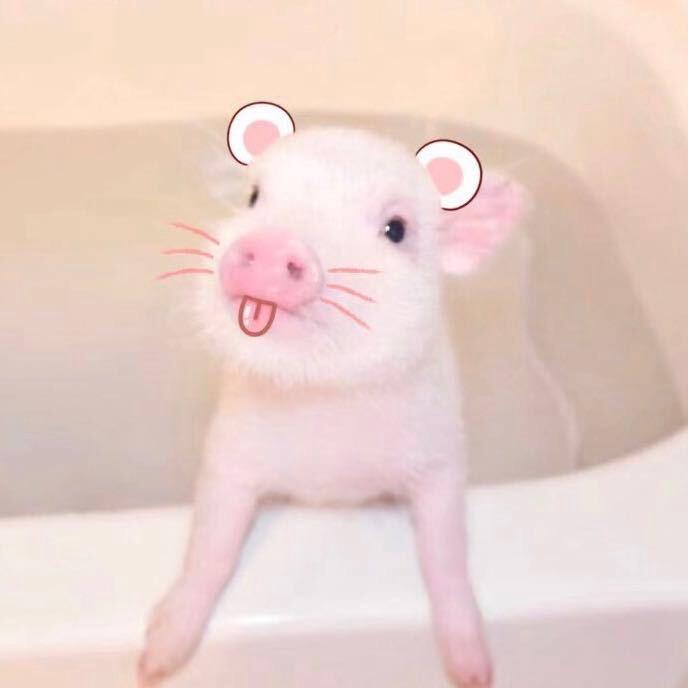 Zhu·