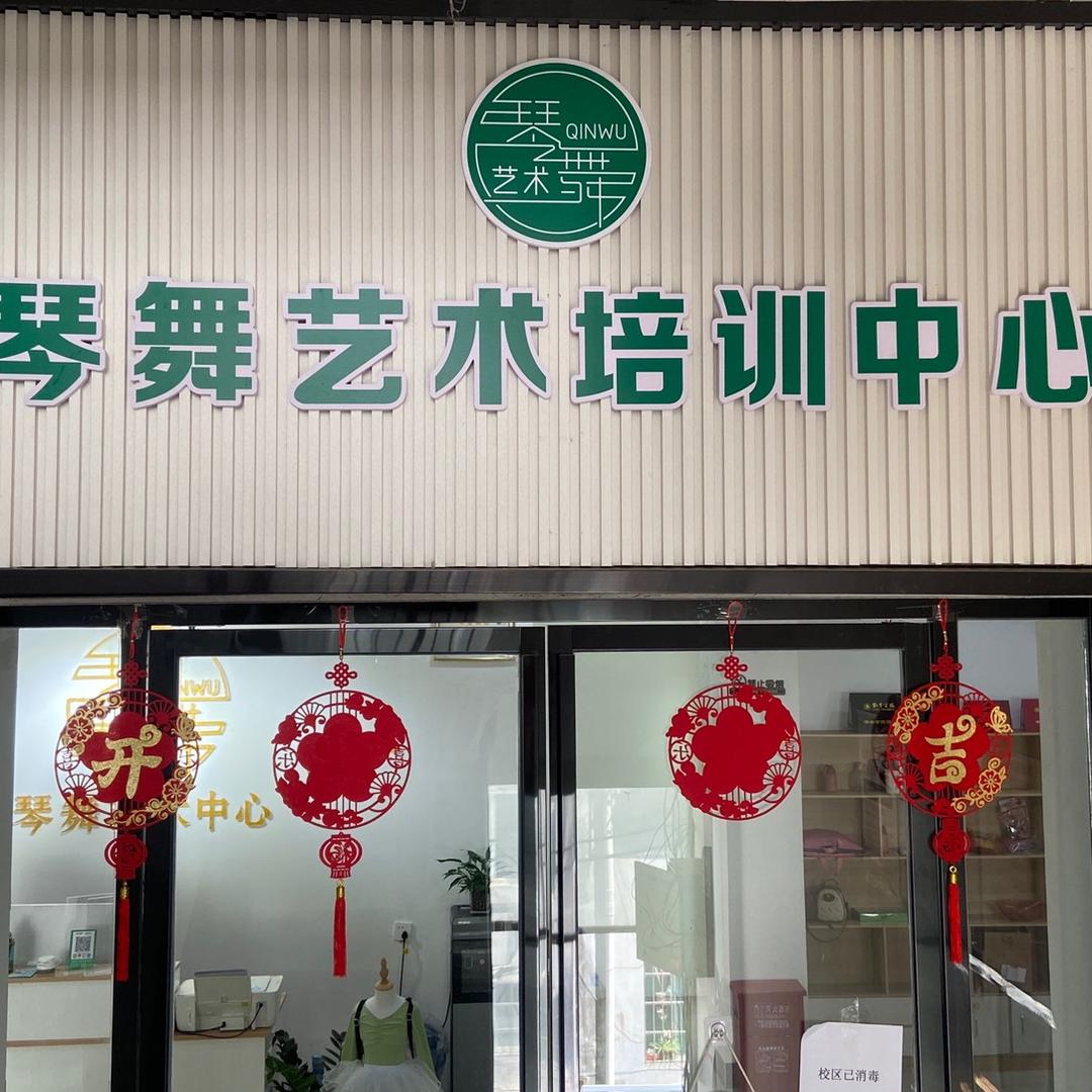 黎平琴舞艺术 敏敏 （学舞找我）