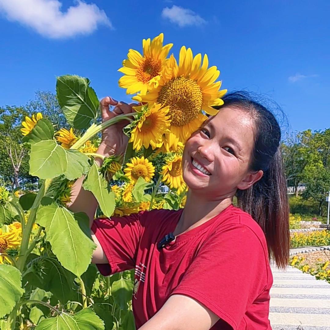 夏夏