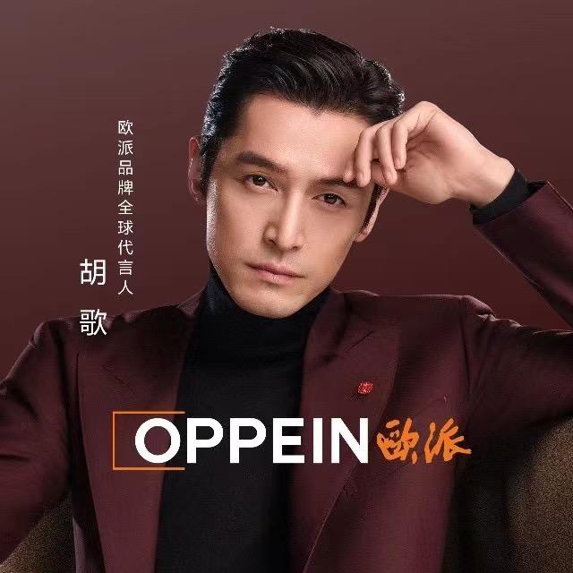 汉西欧派整家定制