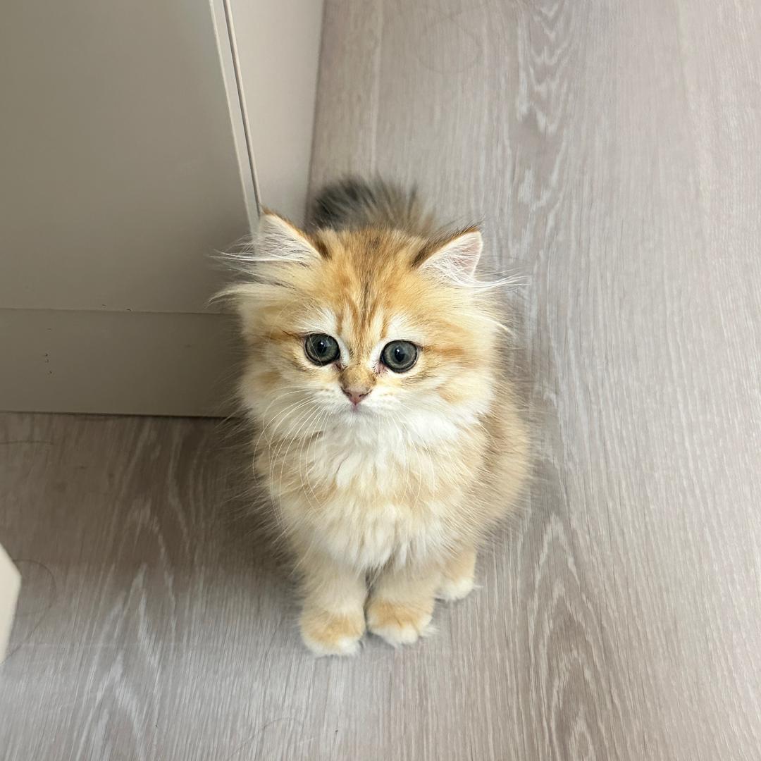 睡个好觉