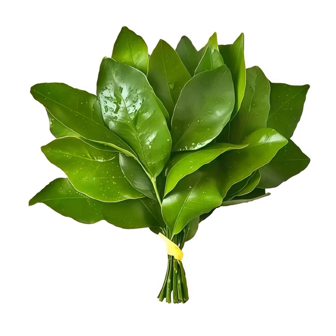 张鱼小丸子🍎🍡
