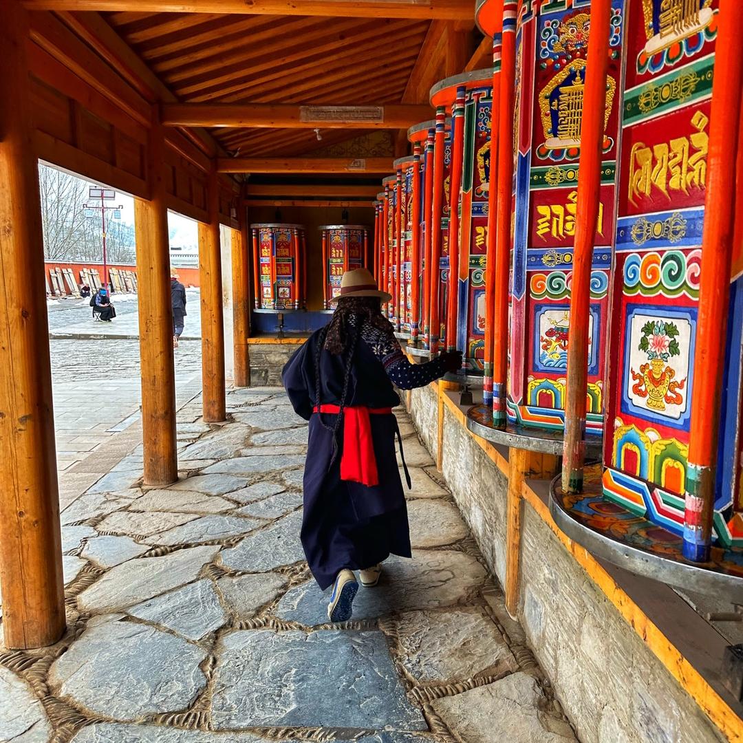 冲奶猫小院