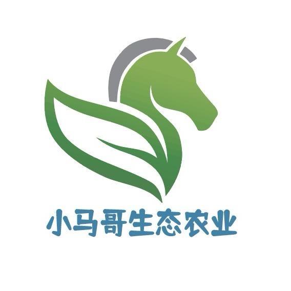 小马优选土特产