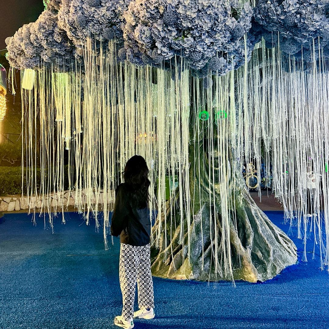 暴躁大王