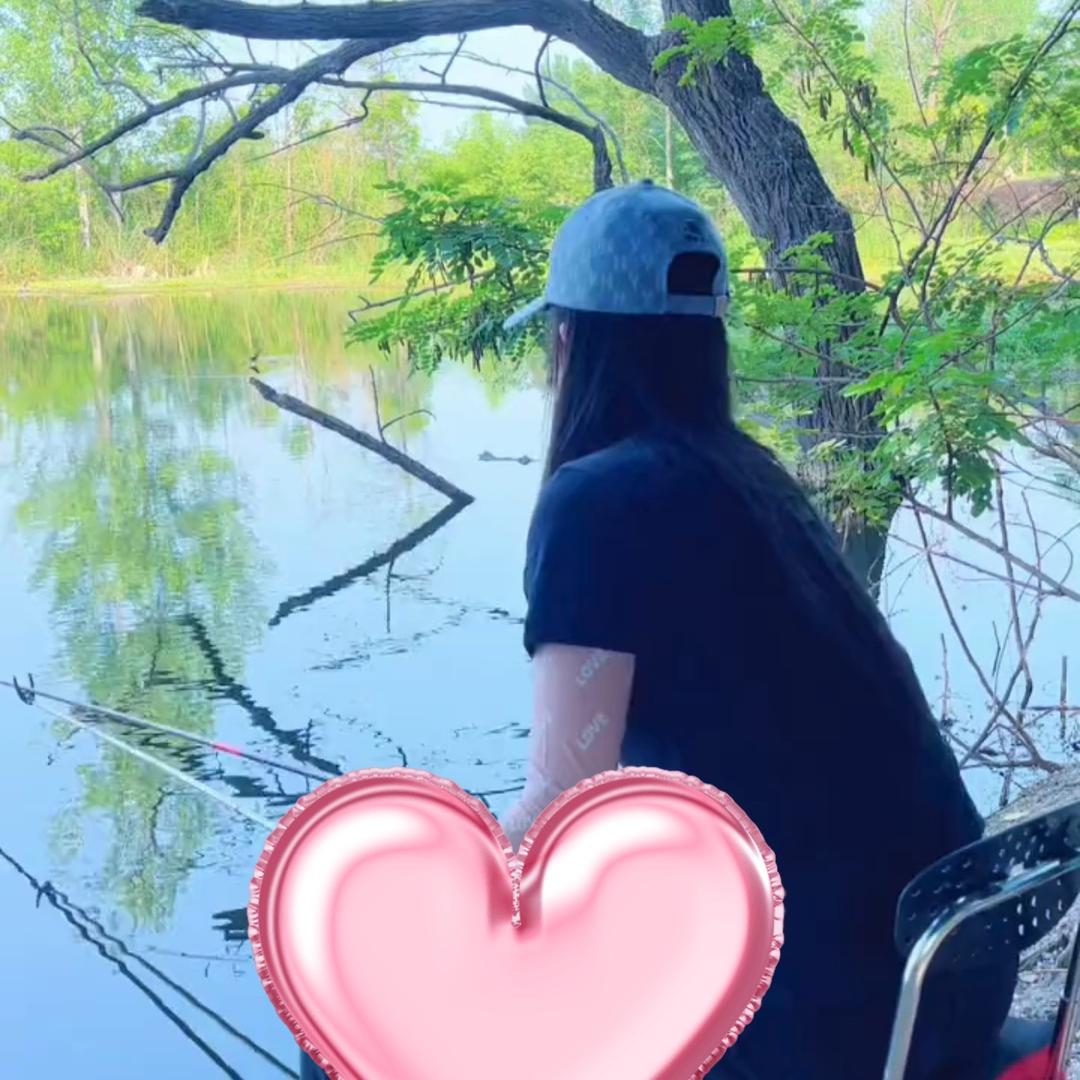 七月莎草